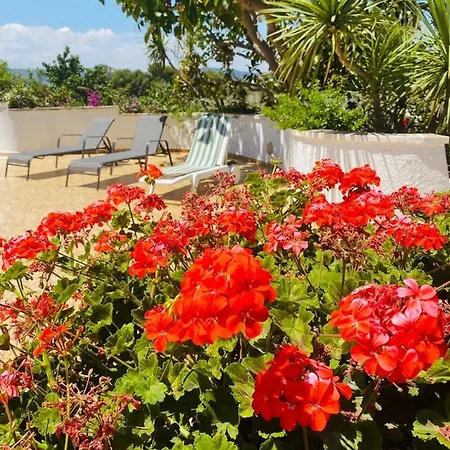 Vista Mare - Con Veranda E Giardino فيلة